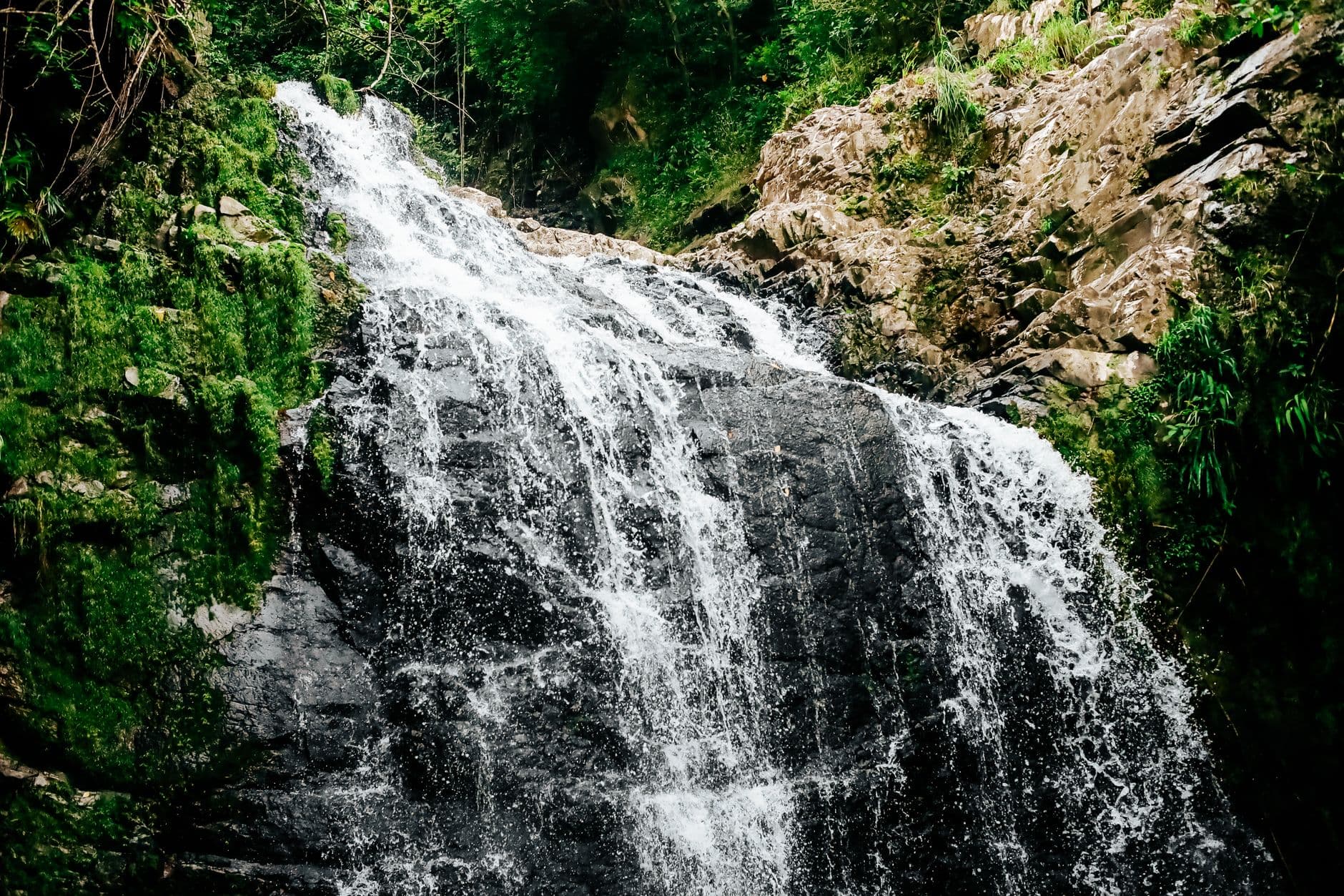 Fixing Hydration Waterfalls in Islands Architecture
