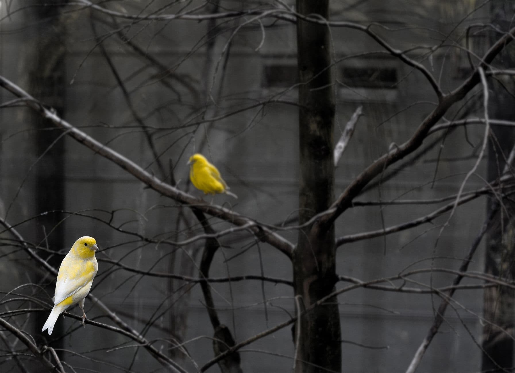 Tuning Statistical Thresholds to Cut Canary Analysis False Positives